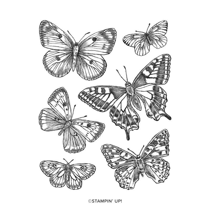 Butterfly Brilliance Cling Stamp Set 155092
