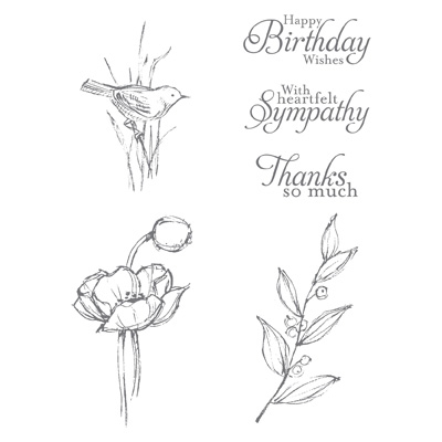 Simply Sketched Hostess Stamp Set
