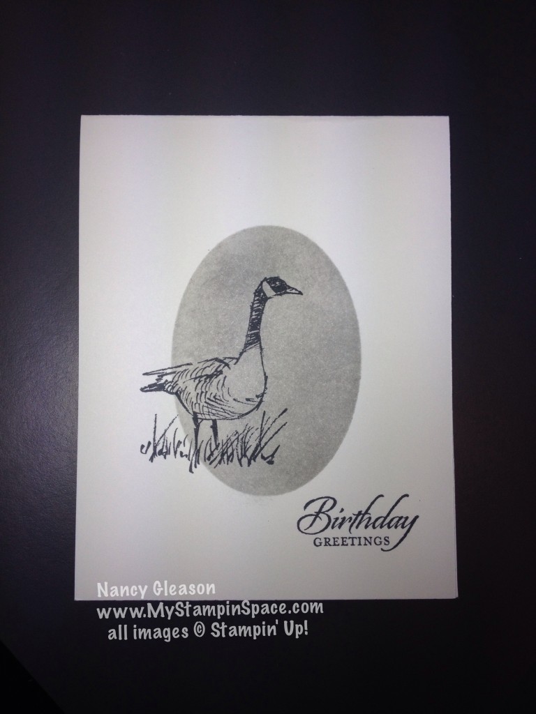 Wetlands Goose single layer card